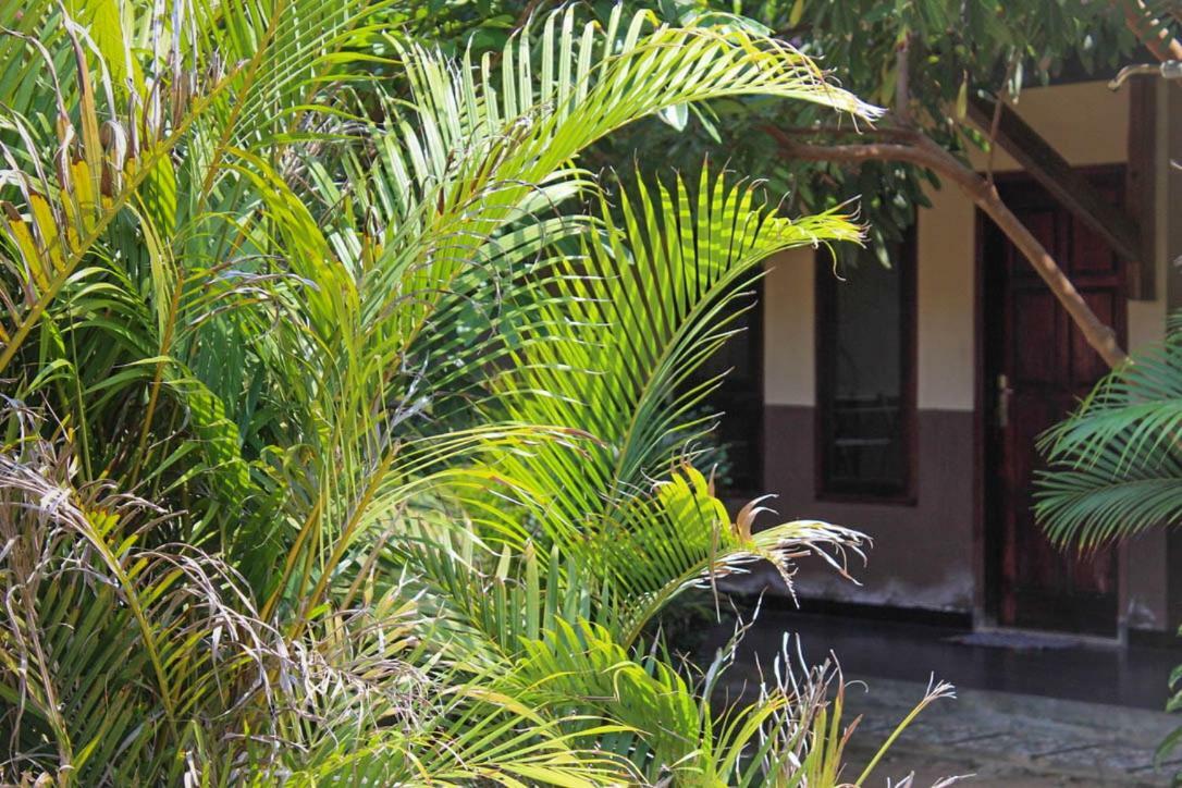 Harrys Oceanhouse 2 Pacitan Apartment Exterior photo